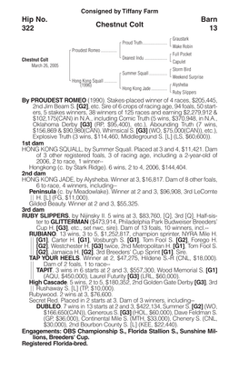 Chestnut Colt Barn 13 Hip No