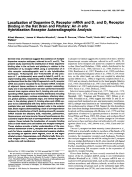 Localization of Dopamine D, Receptor Mrna and D, and D, Receptor Binding in the Rat Brain and Pituitary: an in Situ Hybridization-Receptor Autoradiographic Analysis