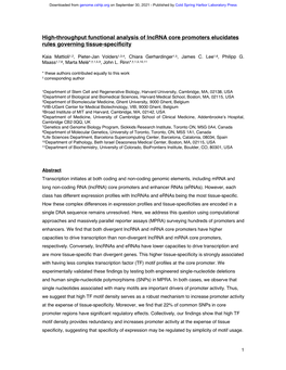 High-Throughput Functional Analysis of Lncrna Core Promoters Elucidates Rules Governing Tissue-Specificity