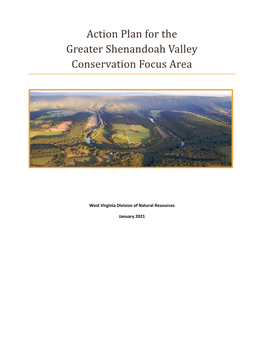 Greater Shenandoah Valley CFA Action Plan