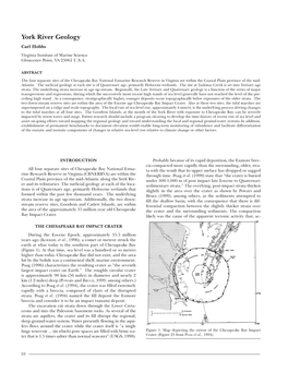 York River Geology by Carl Hobbs