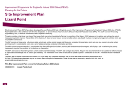 Site Improvement Plan Lizard Point