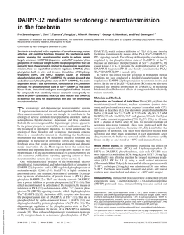 DARPP-32 Mediates Serotonergic Neurotransmission in the Forebrain