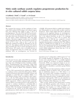 Nitric Oxide Synthase Acutely Regulates Progesterone Production by in Vitro Cultured Rabbit Corpora Lutea