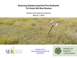 Restoring Globally Imperiled Pine Rocklands to Protect We Must Restore