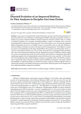 Directed Evolution of an Improved Rubisco; in Vitro Analyses to Decipher Fact from Fiction