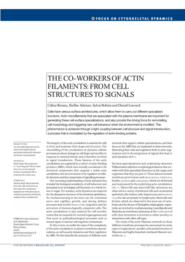 The Co-Workers of Actin Filaments: from Cell Structures to Signals