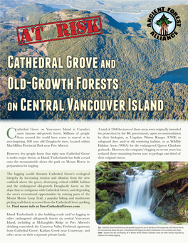 {AT RISK} Cathedral Grove and Old-Growth Forests on Central Vancouver Island