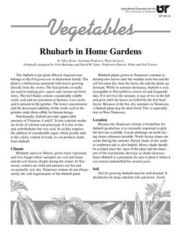 Rhubarb in Home Gardens, SP291-Q