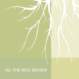 R2 2020 Rice Review