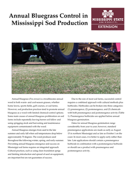 Annual Bluegrass Control in Mississippi Sod Production