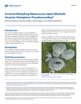 Coconut Mealybug Nipaecoccus Nipae (Maskell) (Insecta: Hemiptera: Pseudococcidae)1 Adriana Espinosa, Amanda Hodges, Greg Hodges, and Catharine Mannion2