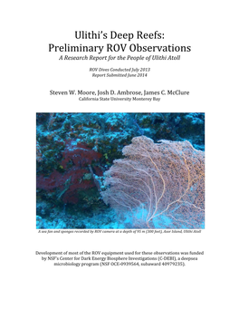 Ulithi's Deep Reefs: Preliminary ROV Observations Report