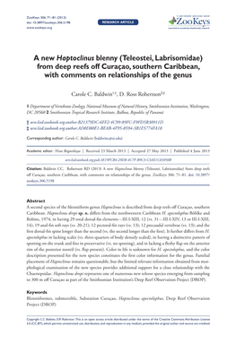 A New Haptoclinus Blenny (Teleostei, Labrisomidae) from Deep Reefs Off Curaçao, Southern Caribbean, with Comments on Relationships of the Genus