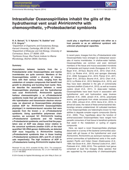 Intracellular Oceanospirillales Inhabit the Gills of the Hydrothermal Vent Snail Alviniconcha with Chemosynthetic, Proteobacteri