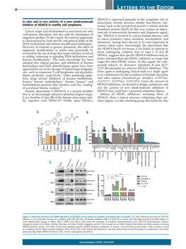 In Vitro and in Vivo Activity of a New Small-Molecule Inhibitor of HDAC6 in Mantle Cell Lymphoma