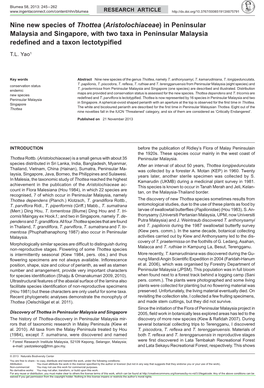 Nine New Species of <I>Thottea</I> (<I