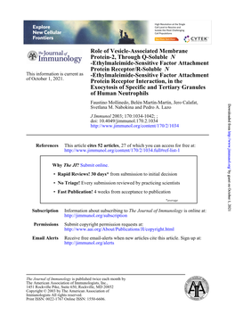 Of Human Neutrophils Exocytosis of Specific and Tertiary Granules