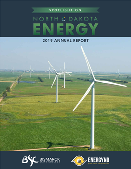 2019 ANNUAL REPORT Table of CONTENTS LETTER from the DIRECTOR