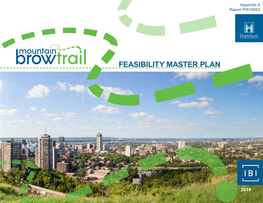 Feasibility Master Plan