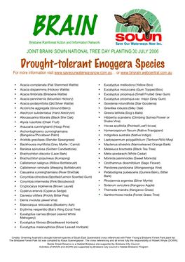 Drought-Tolerant Enoggera Species for More Information Visit Or