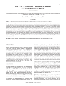 The Type Locality of Craveri's Murrelet