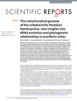 The Mitochondrial Genome of the Oribatid Mite Paraleius