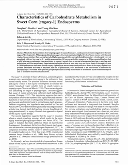 Characteristics of Carbohydrate Metabolism in Sweet Corn (Sugary-I) Endosperms