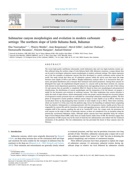 Submarine Canyon Morphologies and Evolution in Modern Carbonate MARK Settings: the Northern Slope of Little Bahama Bank, Bahamas