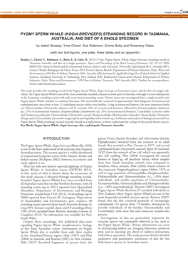 Ygmy Sperm Whale (Kogia Breviceps) Stranding Record in Tasmania, Australia, and Diet of a Single Specimen