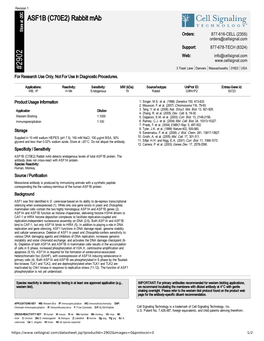 ASF1B (C70E2) Rabbit Mab A