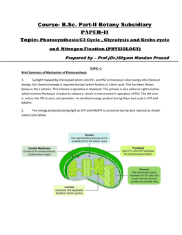 Course- B.Sc. Part-II Botany Subsidiary PAPER–II Topic- Photosynthesis/C3 Cycle , Glycolysis and Krebs Cycle