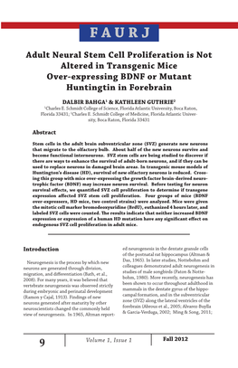 Adult Neural Stem Cell Proliferation Is Not Altered in Transgenic Mice Over-Expressing BDNF Or Mutant Huntingtin in Forebrain