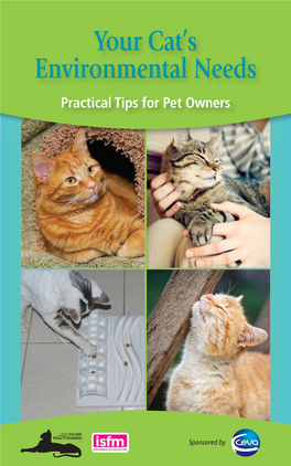 Your Cat's Environmental Needs