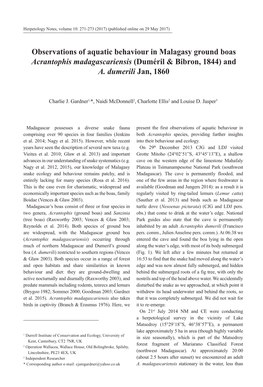 Observations of Aquatic Behaviour in Malagasy Ground Boas Acrantophis Madagascariensis (Duméril & Bibron, 1844) and A