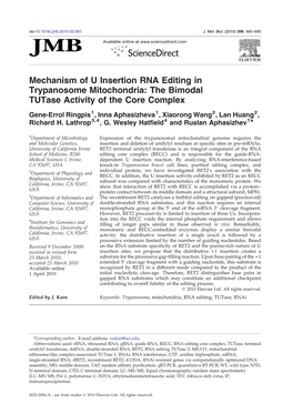 Mechanism of U Insertion RNA Editing in Trypanosome Mitochondria: the Bimodal Tutase Activity of the Core Complex