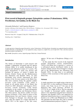 First Record of Dogtooth Grouper Epinephelus Caninus (Valenciennes, 1834), Perciformes, Serranidae, in the Black Sea