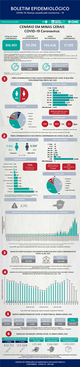 Boletim Epidemiológico Coronavírus 17/02/2021