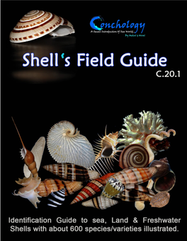 Shell's Field Guide C.20.1 150 FB.Pdf
