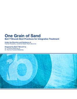 One Grain of Sand Beit T’Shuvah Best Practices for Integrative Treatment