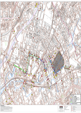 Landscape Plan