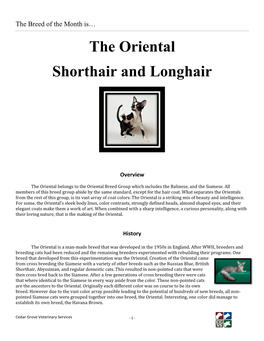 The Oriental Shorthair and Longhair