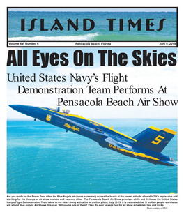 United States Navy's Flight Demonstration Team Performs At