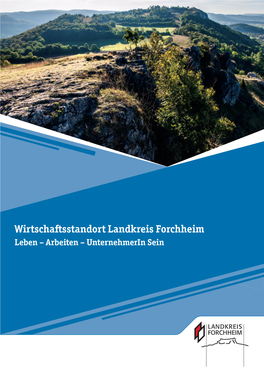 Wirtschaftsstandort Landkreis Forchheim Leben – Arbeiten – Unternehmerin Sein Inhaltsverzeichnis