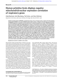 Human Primitive Brain Displays Negative Mitochondrial-Nuclear Expression Correlation of Respiratory Genes