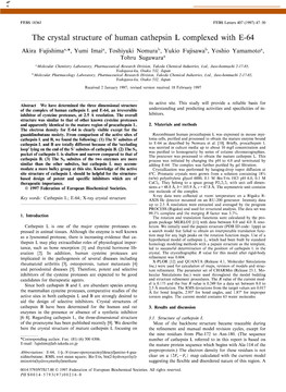 The Crystal Structure of Human Cathepsin L Complexed with E-64