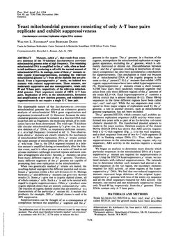 Yeast Mitochondrial Genomes Consisting of Only at Base Pairs