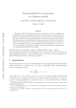 Ruin Probabilities for Risk Processes in a Bipartite Network