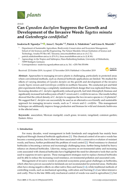 Can Cynodon Dactylon Suppress the Growth and Development of the Invasive Weeds Tagetes Minuta and Gutenbergia Cordifolia?