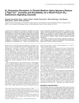 D2 Dopamine Receptors in Striatal Medium Spiny Neurons Reduce L